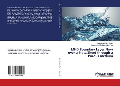 MHD Boundary Layer Flow over a Plate/Sheet through a Porous medium