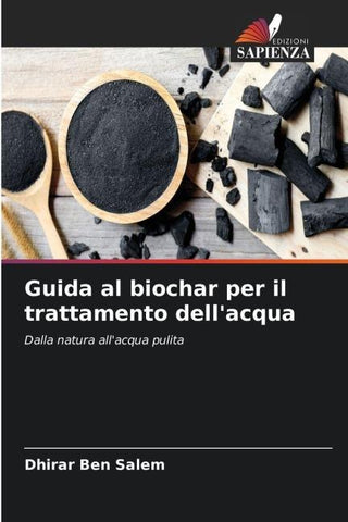 Guida al biochar per il trattamento dell'acqua