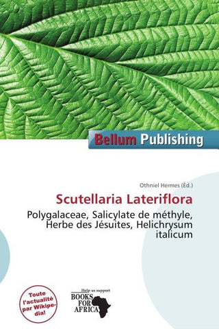 Scutellaria Lateriflora