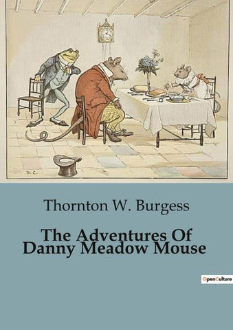 The Adventures Of Danny Meadow Mouse
