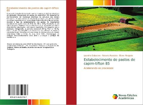 Estabelecimento de pastos de capim-tifton 85