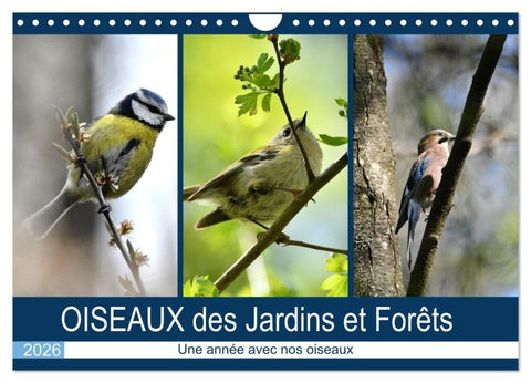 OISEAUX des Jardins et Forêts (Calendrier mural 2026 DIN A4 vertical), CALVENDO calendrier mensuel