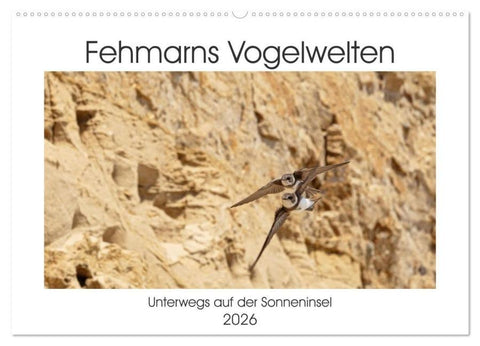 Fehmarn Vogelwelten (Wandkalender 2026 DIN A2 quer), CALVENDO Monatskalender