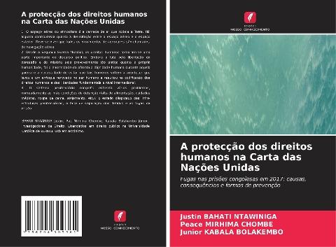 A protecção dos direitos humanos na Carta das Nações Unidas