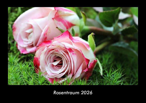 Rosentraum 2026 Fotokalender DIN A3