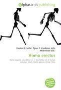 Homo erectus
