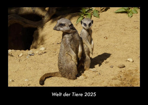 Welt der Tiere 2025 Fotokalender DIN A3