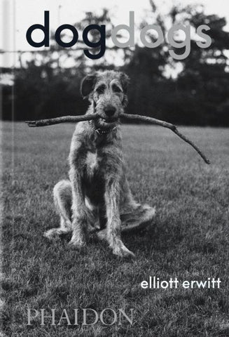 DogDogs