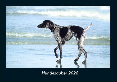 Hundezauber 2026 Fotokalender DIN A4