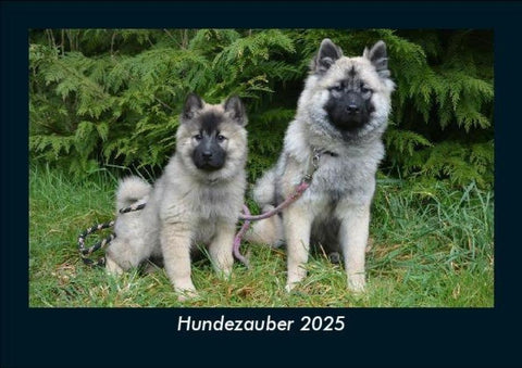 Hundezauber 2025 Fotokalender DIN A5