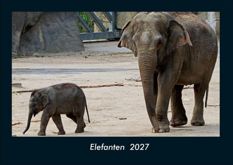 Elefanten  2027 Fotokalender DIN A4