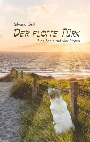 Der flotte Türk