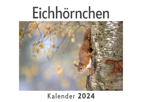 Eichhörnchen (Wandkalender 2024, Kalender DIN A4 quer, Monatskalender im Querformat mit Kalendarium, Das perfekte Geschenk)