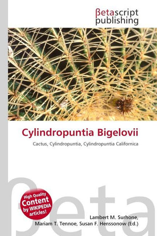 Cylindropuntia Bigelovii