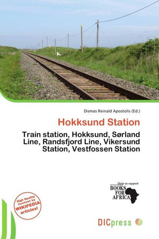 Hokksund Station