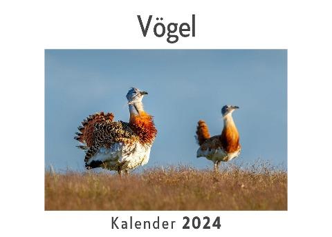 Vögel (Wandkalender 2024, Kalender DIN A4 quer, Monatskalender im Querformat mit Kalendarium, Das perfekte Geschenk)