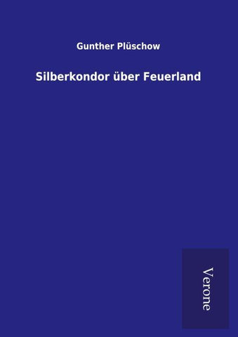Silberkondor über Feuerland