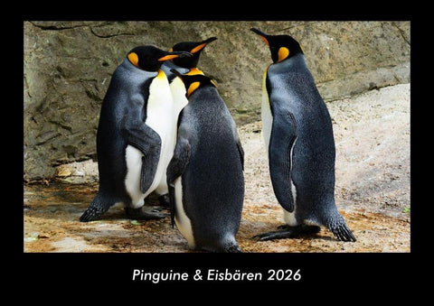 Pinguine & Eisbären 2026 Fotokalender DIN A3