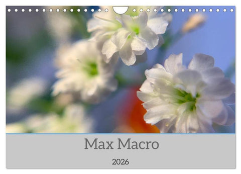 Max Macro (Wandkalender 2026 DIN A4 quer), CALVENDO Monatskalender