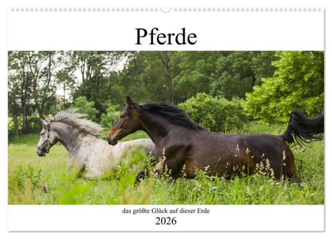 Pferde, das größte Glück auf dieser Erde (Wandkalender 2026 DIN A2 quer), CALVENDO Monatskalender