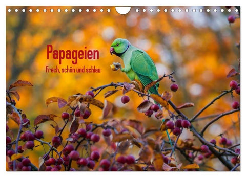 Papageien - Frech, schön und schlau (Wandkalender 2026 DIN A4 quer), CALVENDO Monatskalender