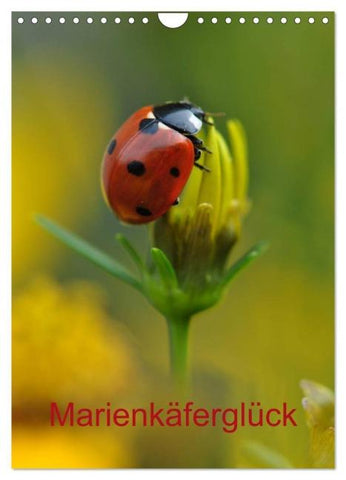 Marienkäferglück (Wandkalender 2026 DIN A4 hoch), CALVENDO Monatskalender