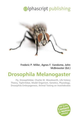 Drosophila Melanogaster