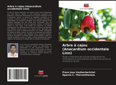 Arbre à cajou (Anacardium occidentale Linn)