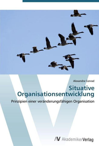 Situative Organisationsentwicklung