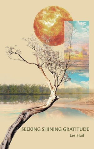 Seeking Shining Gratitude