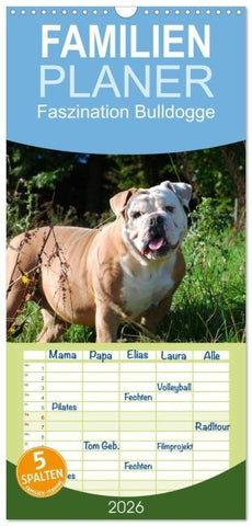 Familienplaner 2026 - Faszination Bulldogge mit 5 Spalten (Wandkalender, 21 x 45 cm) CALVENDO