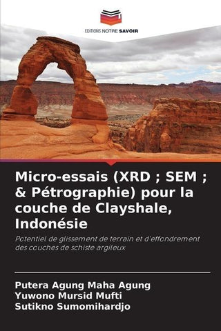 Micro-essais (XRD ; SEM ; & Pétrographie) pour la couche de Clayshale, Indonésie