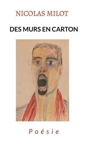 Des murs en carton