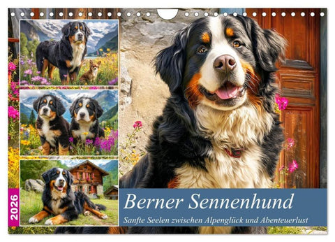 Berner Sennenhund. Sanfte Seelen zwischen Alpenglück und Abenteuerlust (Wandkalender 2026 DIN A4 quer), CALVENDO Monatskalender