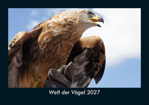 Welt der Vögel 2027 Fotokalender DIN A5