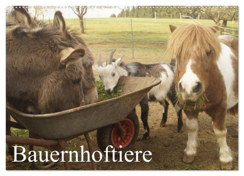 Bauernhoftiere (Wandkalender 2026 DIN A2 quer), CALVENDO Monatskalender