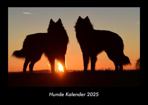 Hunde Kalender 2025 Fotokalender DIN A3