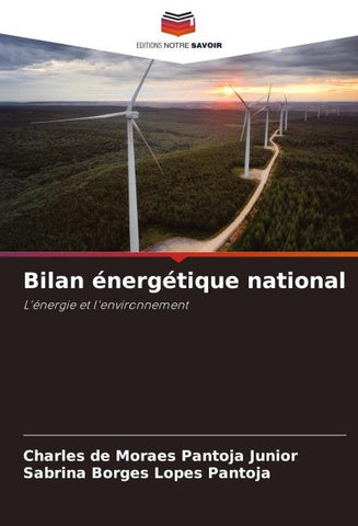 Bilan énergétique national
