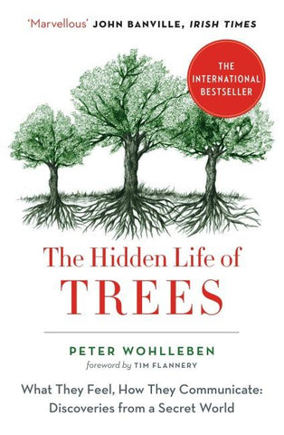 The Hidden Life of Trees