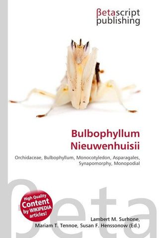 Bulbophyllum Nieuwenhuisii