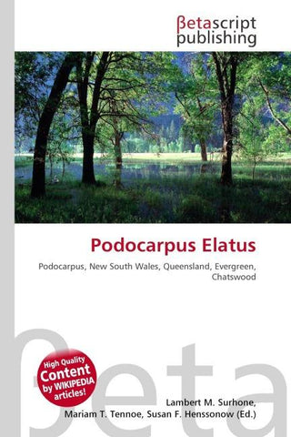 Podocarpus Elatus