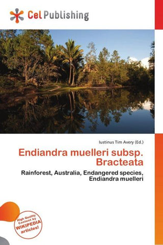 Endiandra muelleri subsp. Bracteata