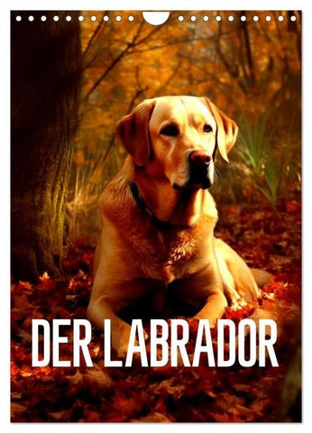 Der Labrador (Wandkalender 2026 DIN A4 hoch), CALVENDO Monatskalender