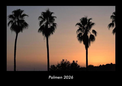 Palmen 2026 Fotokalender DIN A3
