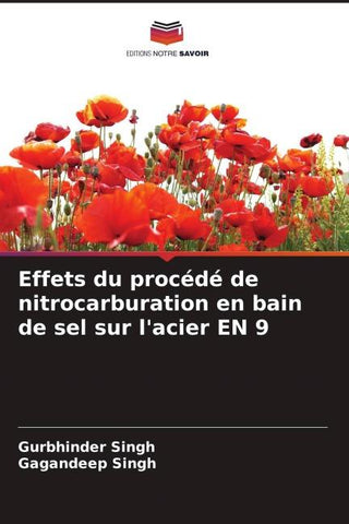 Effets du procédé de nitrocarburation en bain de sel sur l'acier EN 9