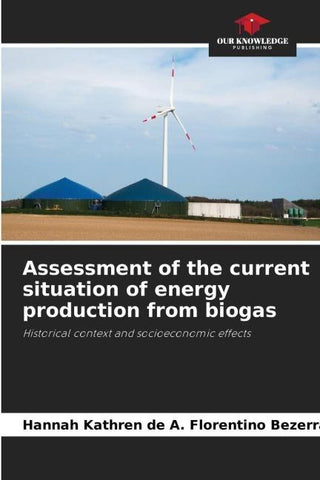 Assessment of the current situation of energy production from biogas