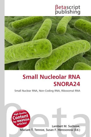 Small Nucleolar RNA SNORA24