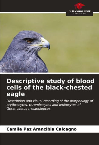 Descriptive study of blood cells of the black-chested eagle