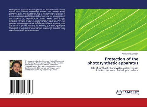 Protection of the photosynthetic apparatus