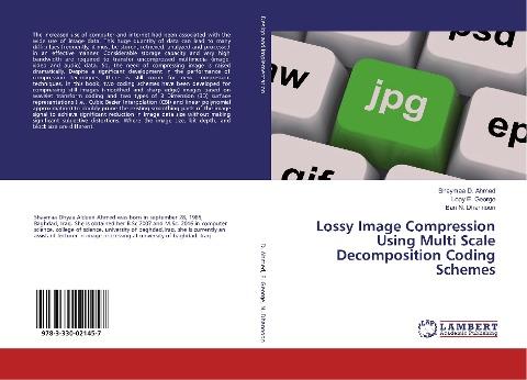 Lossy Image Compression Using Multi Scale Decomposition Coding Schemes